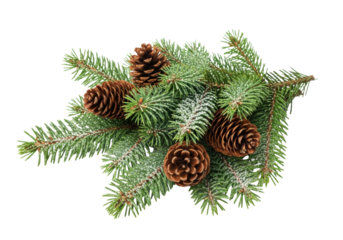 Fresh green pine branches with rich brown cones and sparkling white glitter, meticulously arranged on a transparent background with copy space, bright studio lighting, no shadows, elegant festive