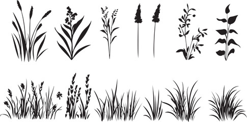 Collection of black silhouette botanical elements featuring grasses reeds and wildflowers on a white background