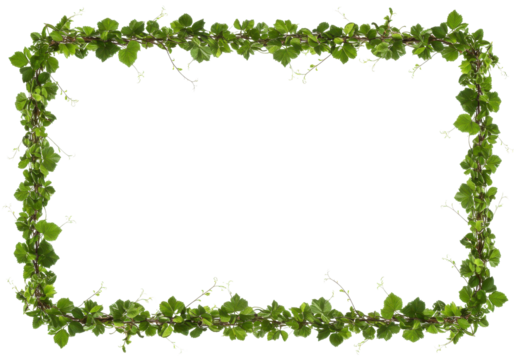 A lush green ivy frame surrounding a blank space, ideal for invitations or announcements