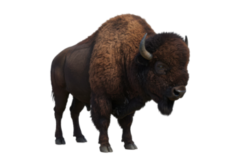 Majestic bison standing in a serene grassland with mountains in the background
