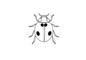 Fototapeta premium Lady beetle drawing. It is a black and white outline image of a lady beetle, an insect also known as a ladybug, with distinct spots on its shell. Vector sketch line art draw.