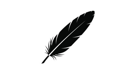 Fototapeta premium Black Feather Isolated on White