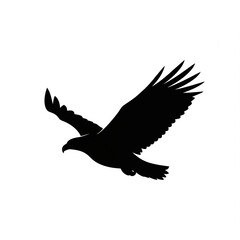 eagle in flight