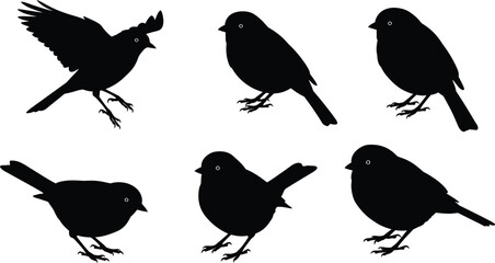 Collection of six distinct bird silhouettes in various dynamic poses and positions isolated on transparent background silhouette