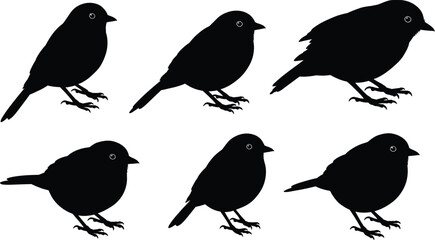 Collection of six detailed black bird silhouettes in various perching poses isolated on transparent background silhouette