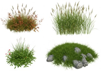 Four different green plants and grass isolated on transparent background