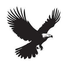 Obraz premium Black eagle soars downwards, its sharp eyes focused, against a transparent backdrop