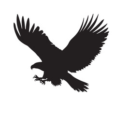 Obraz premium Majestic eagle soars downward with powerful outstretched wings in silhouette against transparent backdrop