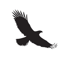 Silhouette shows eagle grasping snake tightly while in midair against a transparent background