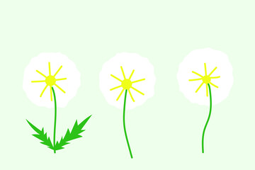 250804_민들레홀씨세트