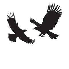 Obraz premium Eagle (20)_traced