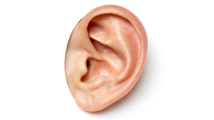 Close up of human ear with detailed skin texture anatomy