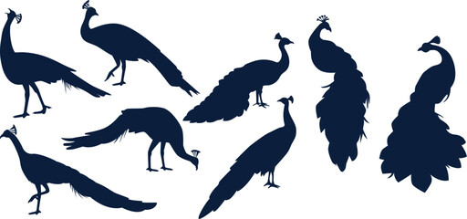 set of silhouettes of birds