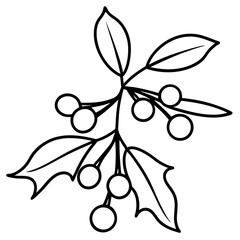 Minimalist Mistletoe Line Art Vector Elegant Holiday Botanical Illustration