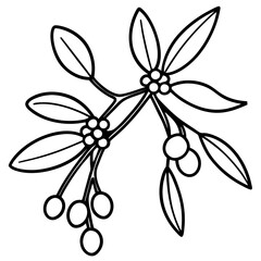 Minimalist Mistletoe Line Art Vector Elegant Holiday Botanical Illustration