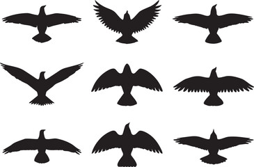 Collection of nine bird silhouettes in flight birds