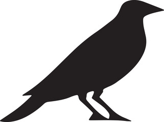 Obraz premium Silhouette of a single black bird standing profile