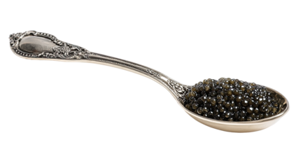 Dark caviar in ornate silver spoon