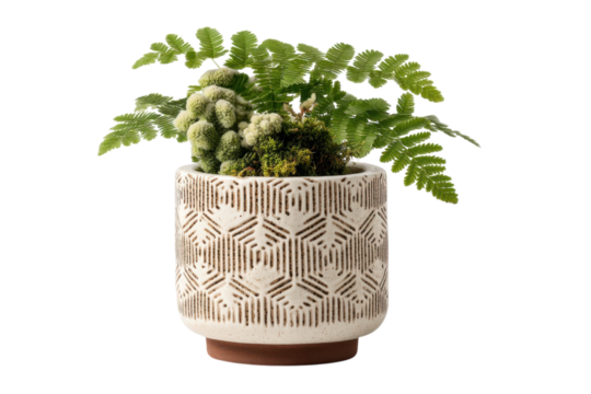 Indoor fern art in a geometric pot Stylish home decor nature inspired accents and plant parent