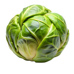 Obraz premium Fresh brussels sprout PNG isolated on white background