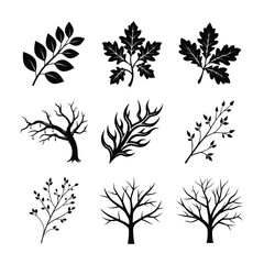 Tree and Leaf Silhouette Bundle Decorative Nature Branches and Trees Vector Set

