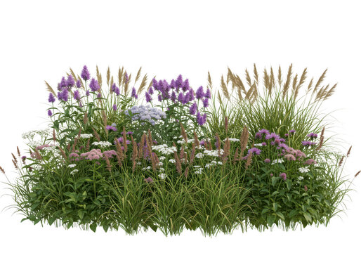 Lush garden planting with various flowers and grasses isolated on transparent background