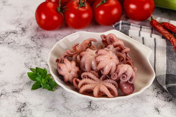 Marinated baby octopus in the bowl