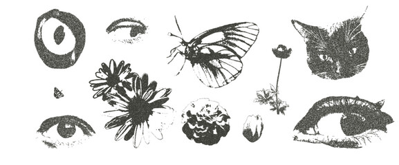 Cat, eyes and flowers dadaism photocopy retro effect set. Daisy, tulip and lily plant. Y2k grain elements. Stippling collage shapes on transparent background. Vector magazine noisy illustration.