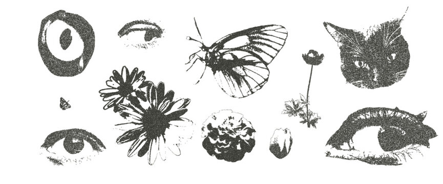 Cat, eyes and flowers dadaism photocopy retro effect set. Daisy, tulip and lily plant. Y2k grain elements. Stippling collage shapes on transparent background. Vector magazine noisy illustration.