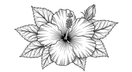 Fototapeta premium Detailed hibiscus flower silhouette