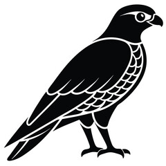 Fototapeta premium Black falcon silhouette vector icon on white background bird