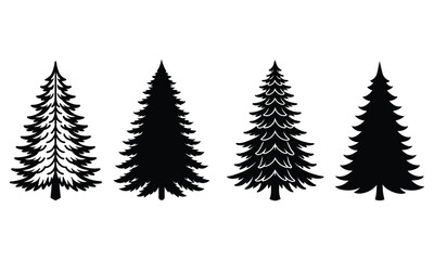 Fototapeta premium Detailed fir tree silhouette with natural elements