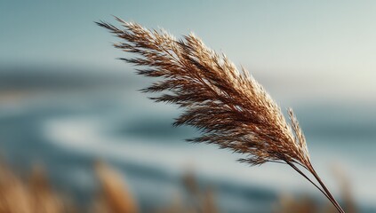 A single, tall grass blade with its head gracefully swaying in the breeze stands out against a blurred background of an ocean and sky. The composition captures a serene moment as.