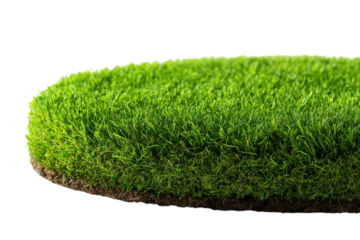 Grass Background Texture Fresh Greenery Artificial Turf Landscaping Garden Lawn Surface Nature