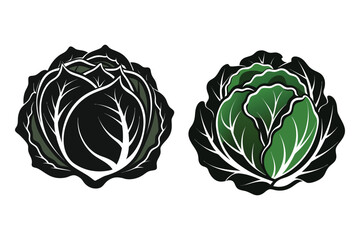 cabbage isolated on white..cabbage leaf vector illustration