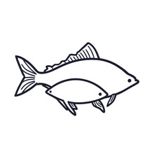 Obraz premium Aquatic blue tuna marine fish vector illustration for fishing and seafood