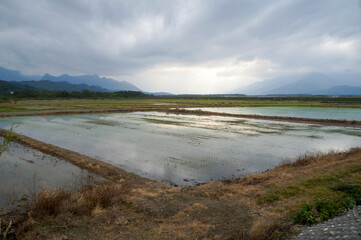 Nature's Mirror: Flooded Fields Reflecting Verdant Hills and Clear Skies.