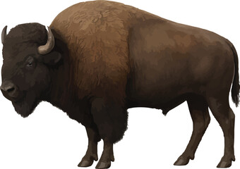 American Bison Render