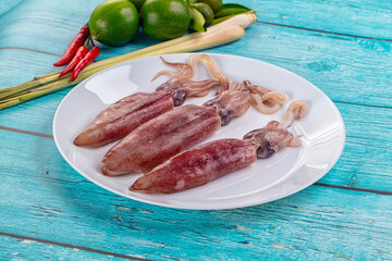 Raw fresh young baby squid