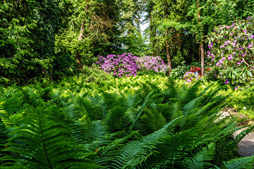 The Botanical Garden of Munich in Germany with garden pathes and topiary boxwood bushes on green meadows