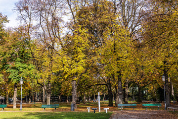 Golden autumn view at Konigsplatz - Kings Square, state capital Munich, Bavaria, Munich, Germany