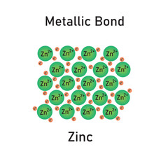 Structure of metallic bond (Zinc)