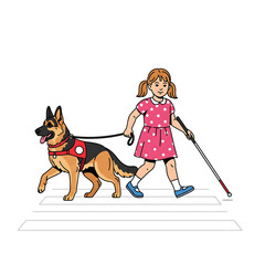 German shepherd guide dog helping a blind girl with a white cane walk across a street, isolated on white background