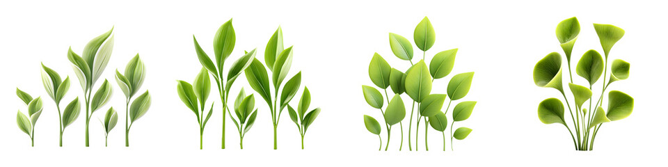 Fototapeta premium Green Plant Arrangement Set - Foliage Illustrations