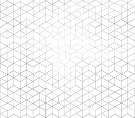 Abstract geometric pattern, white shape in a dark mesh