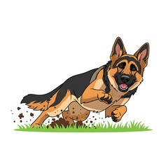 Obraz premium German shepherd dog running and playing in the grass, isolated on white background