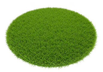 Green grass circle isolated on transparent background