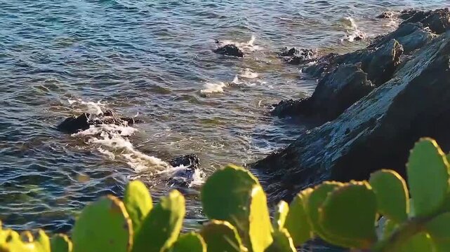 Still video shot of waves in the Mediterranean in the South of France. Sea surf in close-up in the Pyr&eacute;n&eacute;es Orientales in Occitanie with rock