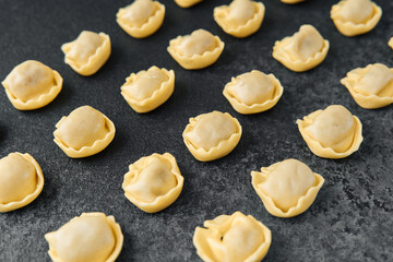 Diagonal scattered raw cappelletti pasta on dark background close up