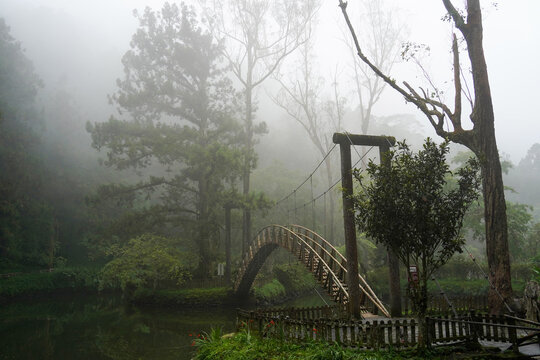 Misty Suspension Bridge at University Pond, Xitou